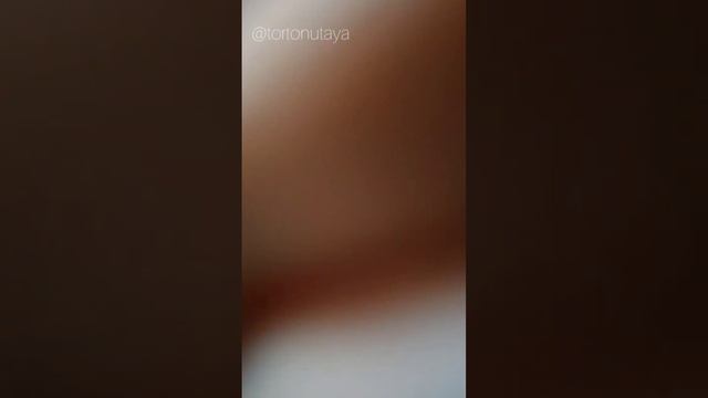 Зефирные комплименты. Зефир на вишневом варенье