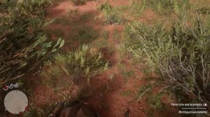 Red Dead Redemption 2 Легендарный Вилорог