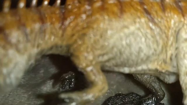 Yangchuanosaurus vs Chinshakiangosaurus смотреть онлайн
