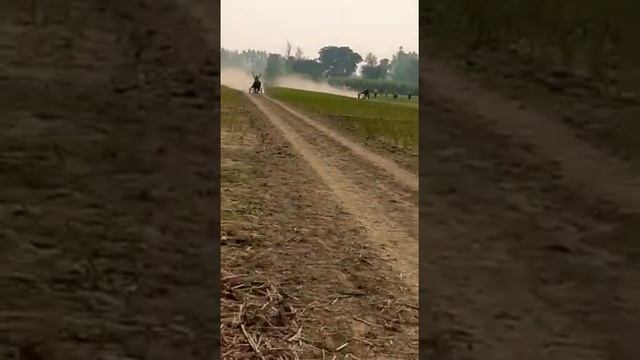 Sanjay bhai Ladpur jhota winner गाँव jatpura 💥 смотреть онлайн