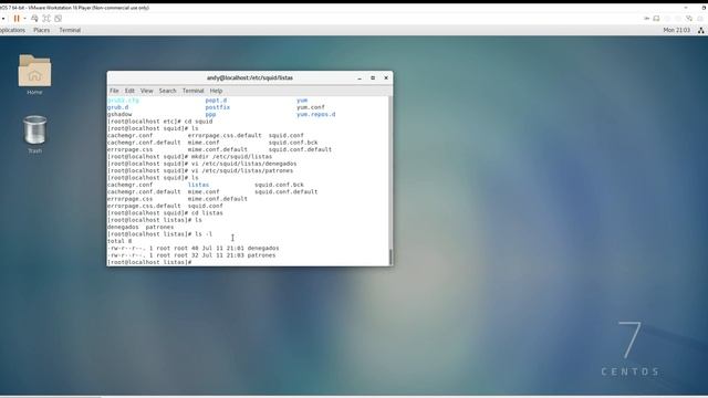SERVIDOR PROXY CENTOS7 смотреть онлайн