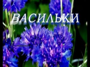 «Еще раз про любовь» - от Братьев Радченко