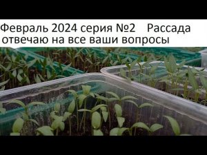 Февраль 2024 №2. Дела тепличные - рассада. Прогулка по летнему огороду.