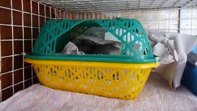 G if прибирается смотреть онлайн