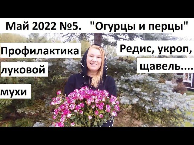 Май 2022 №5 Высаживаем перцы и огурцы в природном земледелии. Профилактика луковой мухи и ..... смотреть онлайн