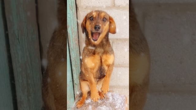 Если бы так и было) смотреть онлайн