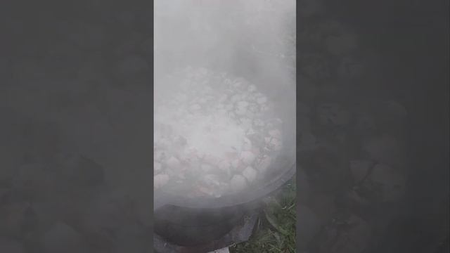 Каша для любимых собак. смотреть онлайн