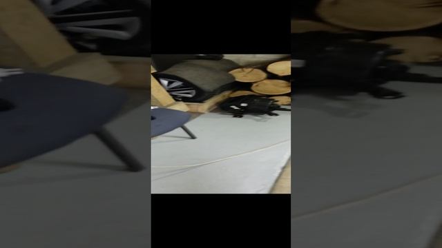 1000138313.mp4 смотреть онлайн