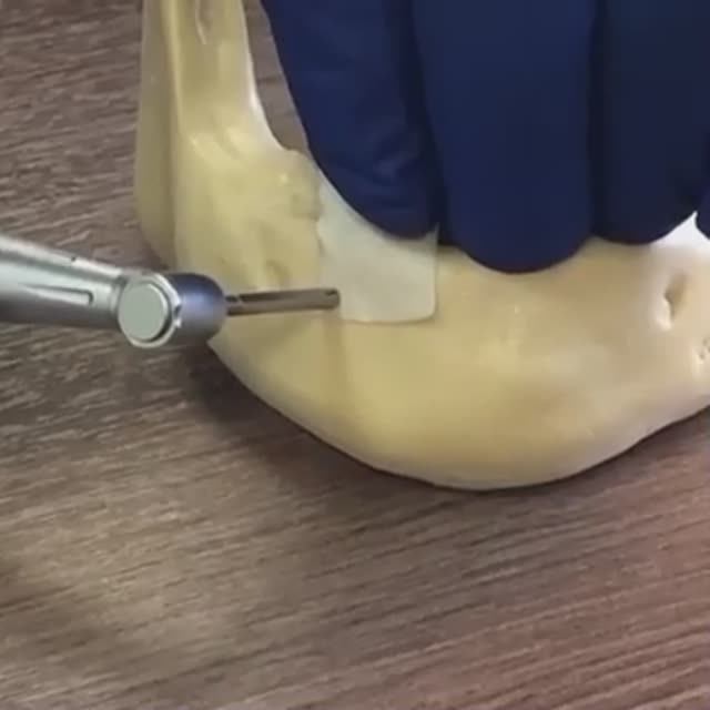 Демонстрация на модели