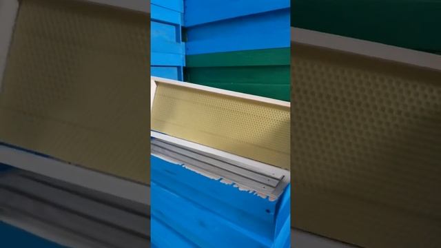 6-рамочники готовы к сезону смотреть онлайн