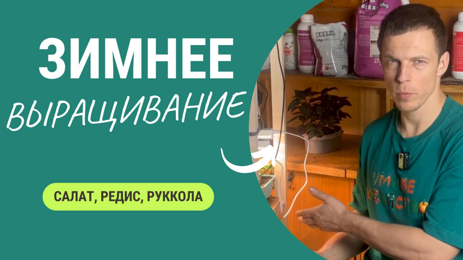 Как вырастить зимой салат, рукколу и редиску 🥬😋 смотреть онлайн