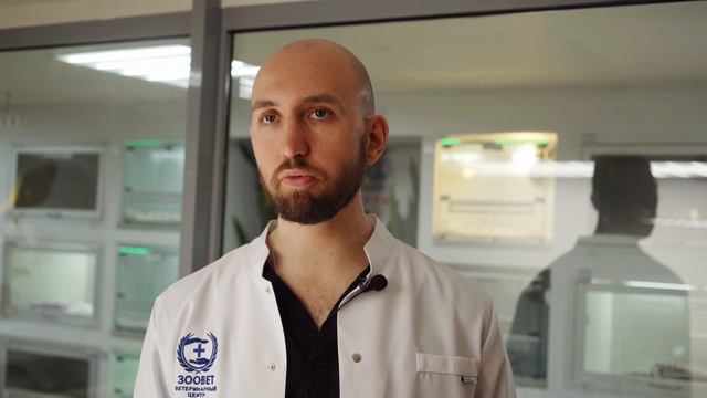 Паразиты у рептилий. Почему их стоит опасаться