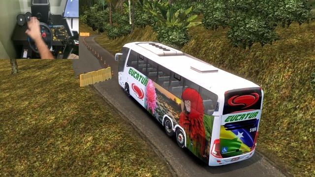Driving Eucatur Bus on Curvy Road | Driving with Steering Wheel | Logitech G29 Gameplay смотреть онлайн
