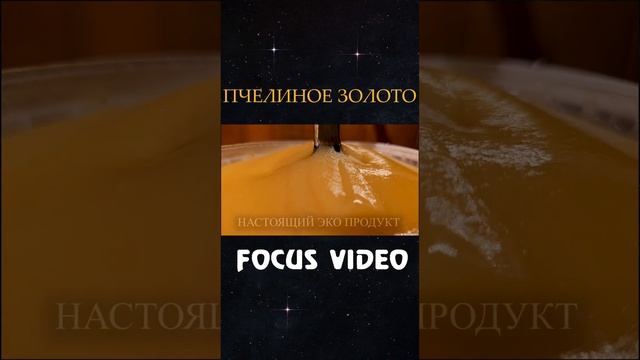 Пчелиное Золото #рекомендации #shortsvideo #shortsfeed #топ #рек #реки #reels #shortsviral #тренды смотреть онлайн
