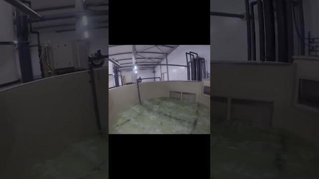 УЗВ Воронеж