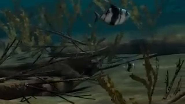 Animation 6: From Oceans: Origins of Life смотреть онлайн