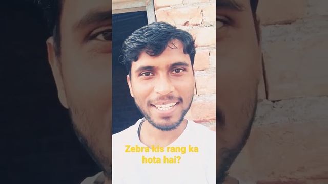 zebra k8s rang ka hota hai? #shorts #short #shortvideo #shortsvideo смотреть онлайн