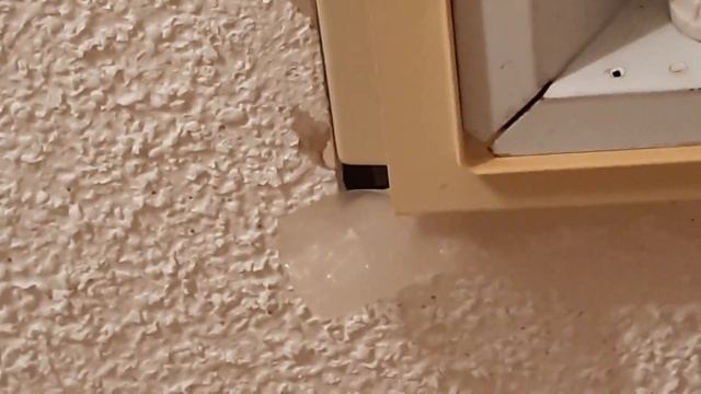 HIDDEN CAMERA IN MY AIRBNB ROOM FACING THE SHOWER! смотреть онлайн