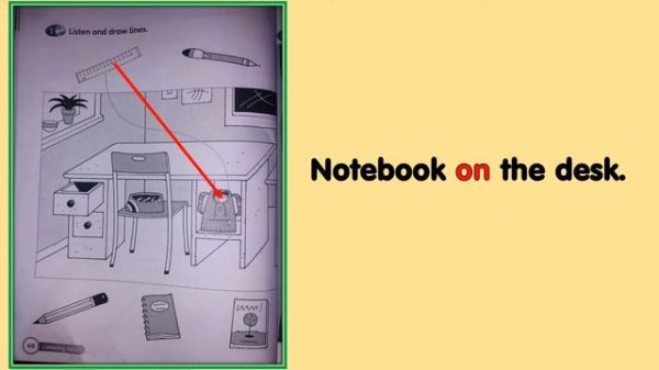 Super Minds 1 Unit 3: Pet show (Workbook page 40)