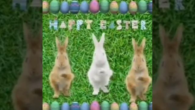 Кролики танцуют смотреть онлайн