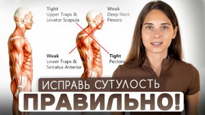 Разоблачение мифа: закачка спины и сутулость. Что делать на самом деле для правильной осанки ?