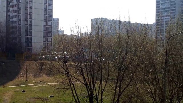 Спасение котика... смотреть онлайн