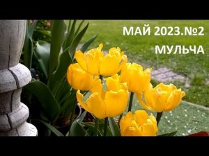 Май 2023. №2. Мульча.