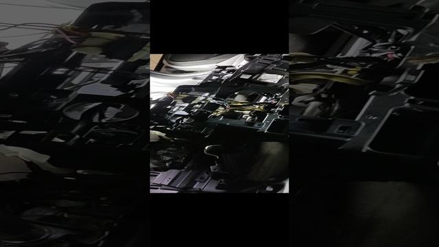 1000138447.mp4 смотреть онлайн