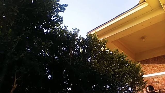 Hidden camera prank on my sister. смотреть онлайн