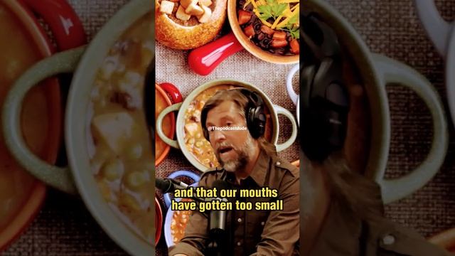 How Soft Foods Affect Our Jaw Development and Breathing: Insights from Ancient Skulls #viralvideo смотреть онлайн