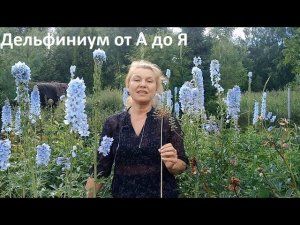Дельфиниум от А до Я в природном земледелии.