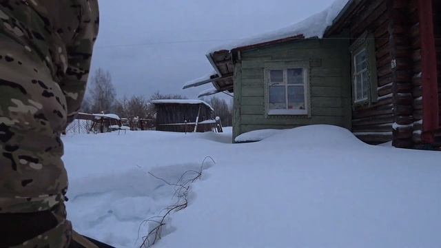 Приехали навестить дом,посмотреть кошек. смотреть онлайн