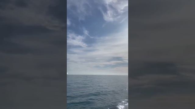 Ялта 💖💖💖 смотреть онлайн