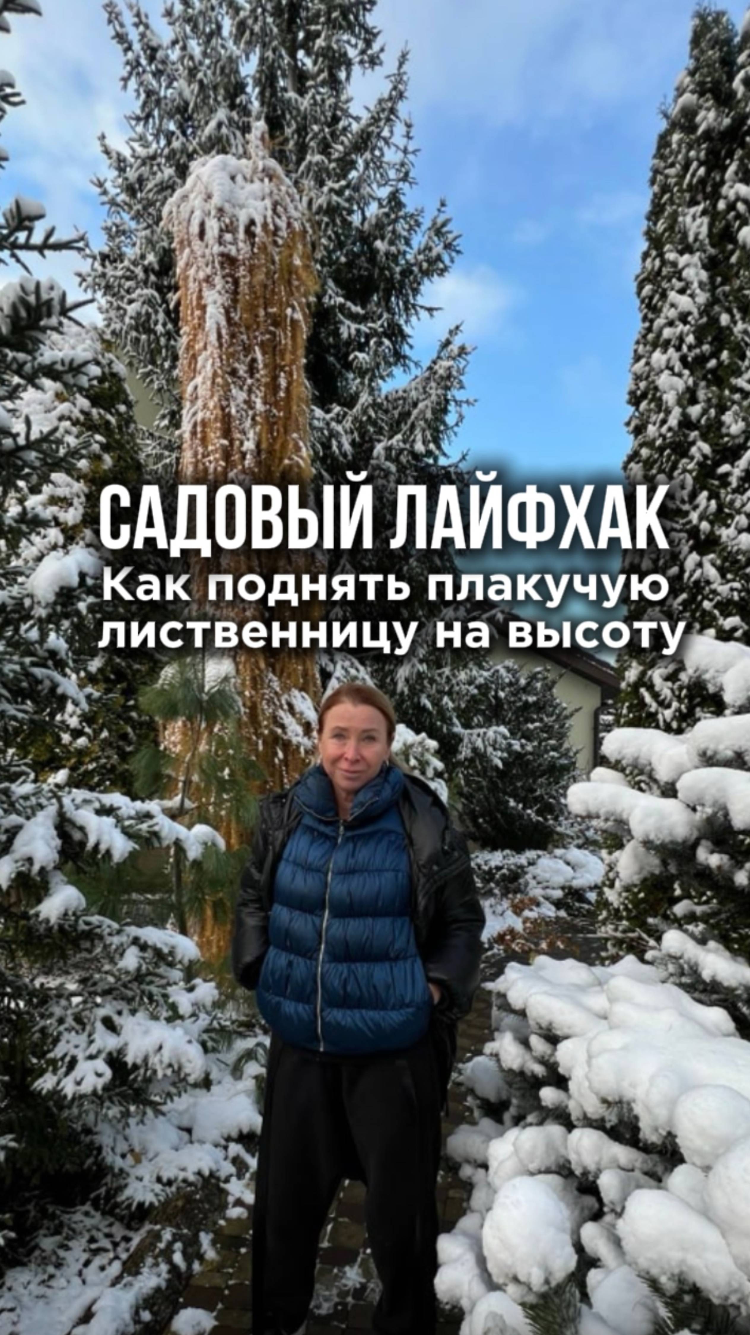 Как поднять плакучую лиственницу на высоту смотреть онлайн