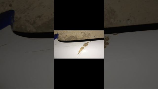 капот на Ниву б/у смотреть онлайн