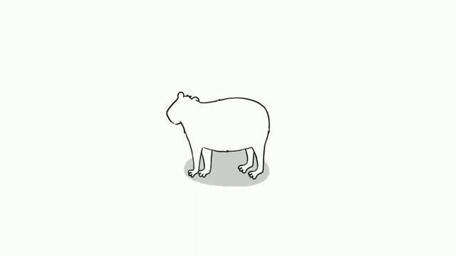 Spinning Capybara смотреть онлайн