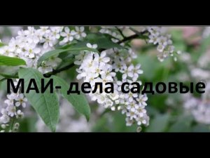 Май - дела садовые.