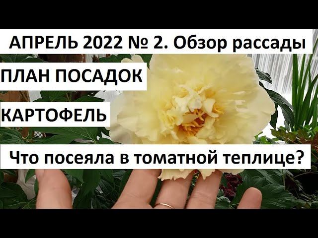 Весенние работы в саду теплице. смотреть онлайн