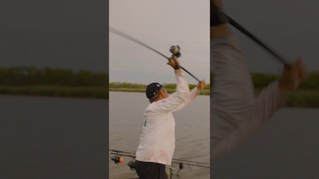 Russian open cup 2024 (ROC '24) смотреть онлайн