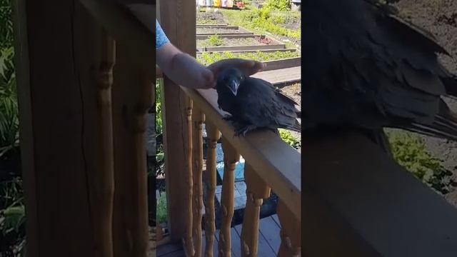 22 июня 2024 г. смотреть онлайн