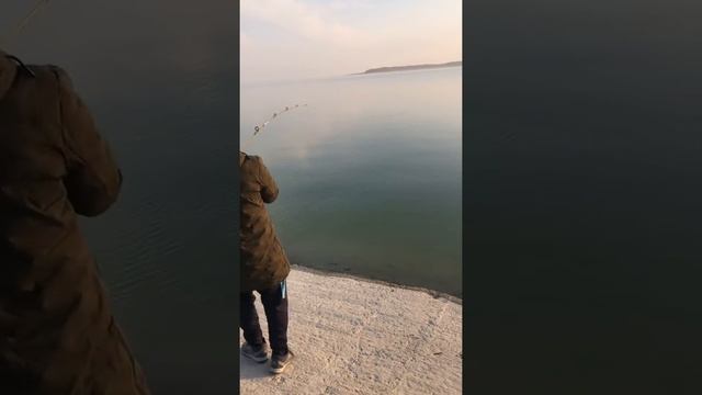carp fishing, Чардаринское водахранилище, рыбалка, вываживание 3 кг сазана!!!Удачи.(видео 17.11.19) смотреть онлайн