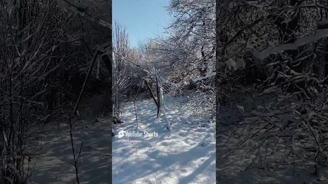 морозец и снег сегодня на юге