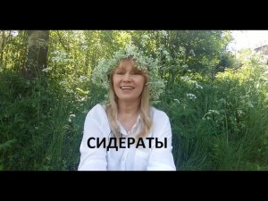 Сидераты.