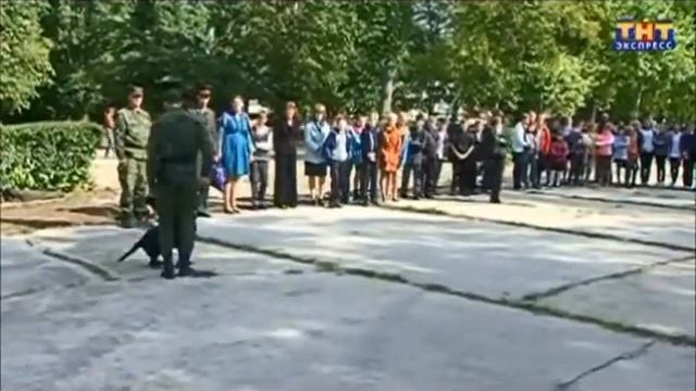 НА СЛУЖБЕ ЧЕТВЕРОНОГИЕ БОЙЦЫ смотреть онлайн