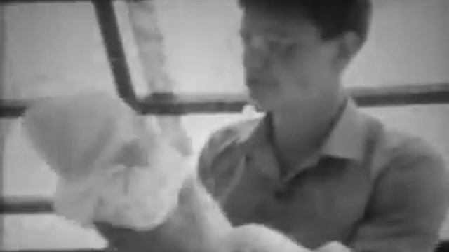 Summer_1988 смотреть онлайн