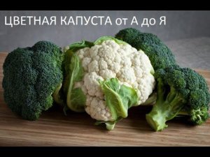 Цветная капуста  от А до Я