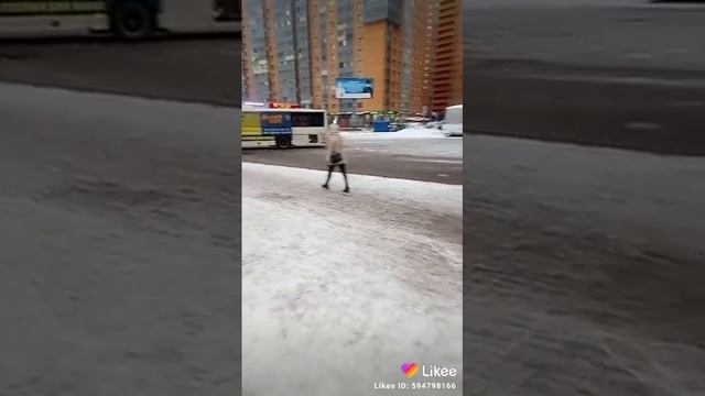 25 декабря 2020 г. смотреть онлайн