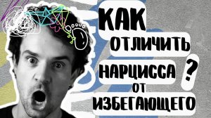 Разница между НАРЦИССОМ и ИЗБЕГАЮЩИМ типом привязанности
