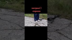ПРИКОЛ