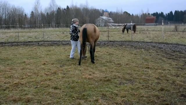 Hard new смотреть онлайн